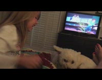 Dog bites girls hand tries to pet him