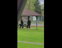 Two men jumpsuit  Tai Chi Exercise park Part 1