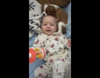 Puppy gets comfortable with baby 