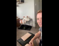 Dog wags tail when its owner looks