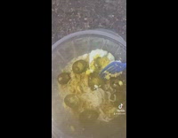 Egg explodes in ramen noodles 