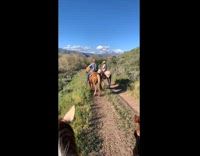 Guy on horse falls off trail path