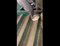 Man on stairs puts pigeon inside box