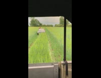 Guy take selfie while drive car farm