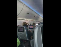 Cat free on airplane during flight