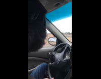 Two dogs whine inside car to dog park