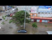 Whale jumps out of water flooding street