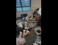 Girl moves without telling psycho roommate