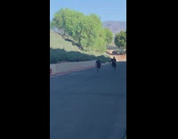 Two guys race one falls fail