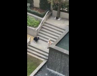 Girl poses by water fountain steps apartment 