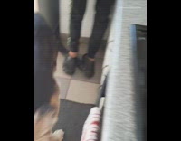 Large dog takes portable speaker on counter 