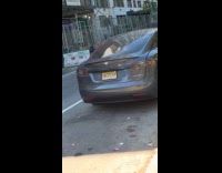 Collab WINY - Tesla and cyber truck with funny license plates