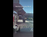 Guy on back sits up when truck passes