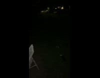 Guy fishes and reels in a beer can 