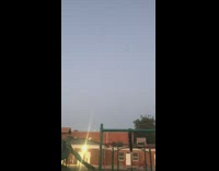 Flock of birds fly in circular direction in the sky