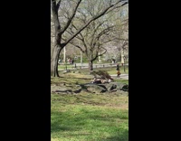 Man throws bicycle in the air at the park