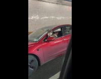 Dog peeks out car window inside tunnel