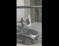 White dog sit post photo shoot sidewalk