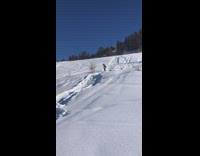 Guy skis down from a mountain and falls