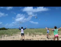 Three kids play with group of seagull