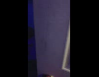 Dog wakes up and has a big stretch in the morning