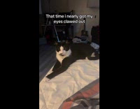 Man screams at cat with tongue out