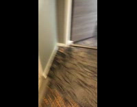 Guy throws paper airplane out hotel window 