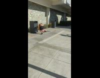 shirtless man records dog sleeping on floor