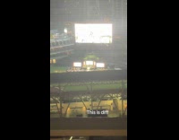 Man shows auction event at petco park