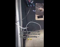 Frog on control panel of car button