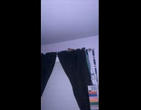 Brown orange hamster on top of black curtain window 
