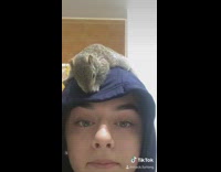 Girl walks in with squirrel on head