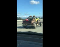 BitchMP - Christmas elf santa dog driving car 