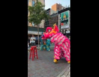 Collab WINY - Gender reveal on street use lion dance