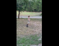 Little girl walking with two skunks following her