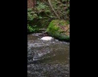 River flow foam bubble tornado formation