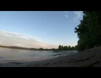 Guy tries to boogie board at beach but slips and scorpions in sand 
