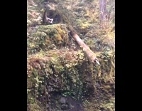 Slowmo Shirtless Guy Attempts Backflip Off Grassy Cliff Backflops Lake