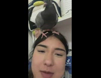 Girl has pigeon pet on her head
