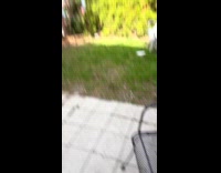 Woman screams as squirrel jumps towards her
