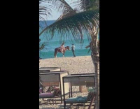 Girl ride and pose on horse beach