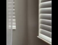 Black brown dog rips white curtain sleeps 