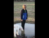 Kid stand in water puddle dog drink