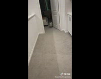 Husky Dashes Bedroom and Living Room