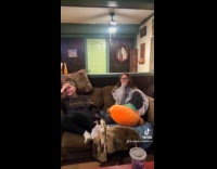 Puppy hiding inside mans hoodie sleeve 