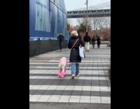 Poodle wear onesie with pink fur on legs