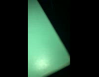 White Dog On Bed Under Blanket Stares at Nature's Wick Candle