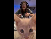 Collab VIBES - Brunette girl playing video games and singing gets interrupted by cat 
