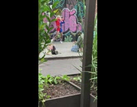 Girl harley quinn costume dance beside grafitti