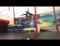 Guy on aerial silk drops lady fail 